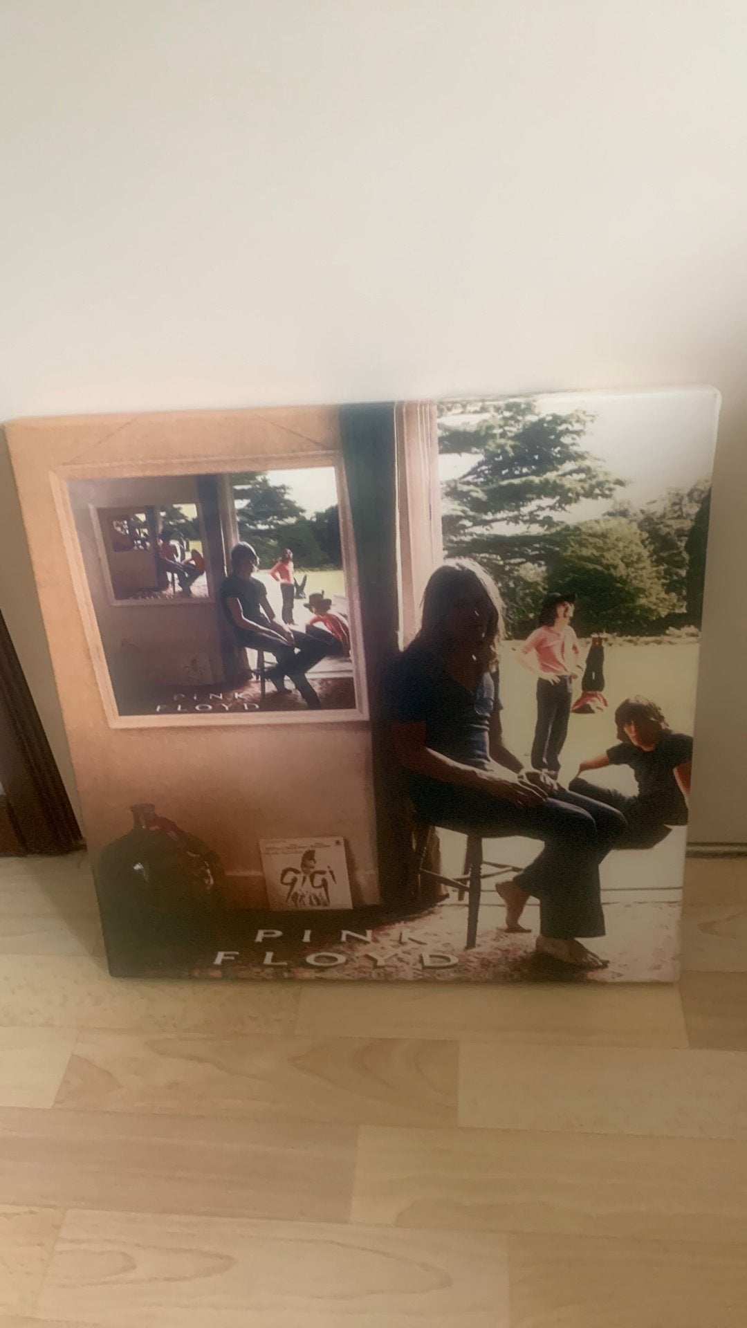 Pink Floyd Ummagumma canvas artprint 45 x 45, Verzamelen, Ophalen of Verzenden, Zo goed als nieuw