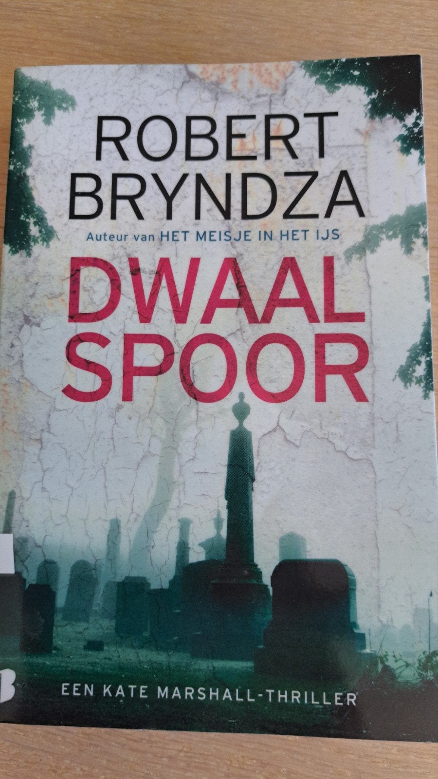 Robert Bryndza - Dwaalspoor, Boeken, Gelezen, België, Robert Bryndza, Ophalen of Verzenden