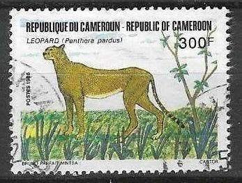 Cameroun 1986 - Yvert 798 - Léopard (ST), Envoi, Affranchi