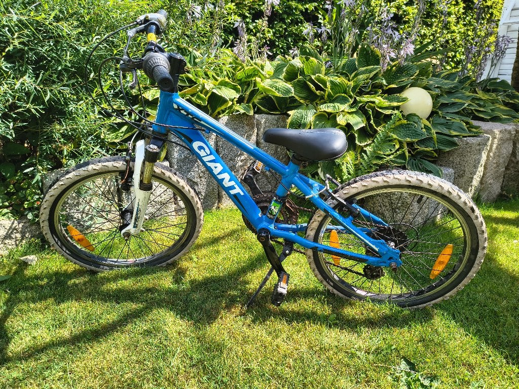 Giant kinder-mountainbike 24 inch, Fietsen en Brommers, Ophalen, 24 inch of meer, Gebruikt, Velgrem