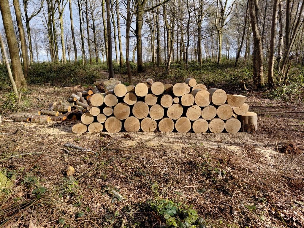 Brandhout, Tuin en Terras, Brandhout, Ophalen of Verzenden, Stammen