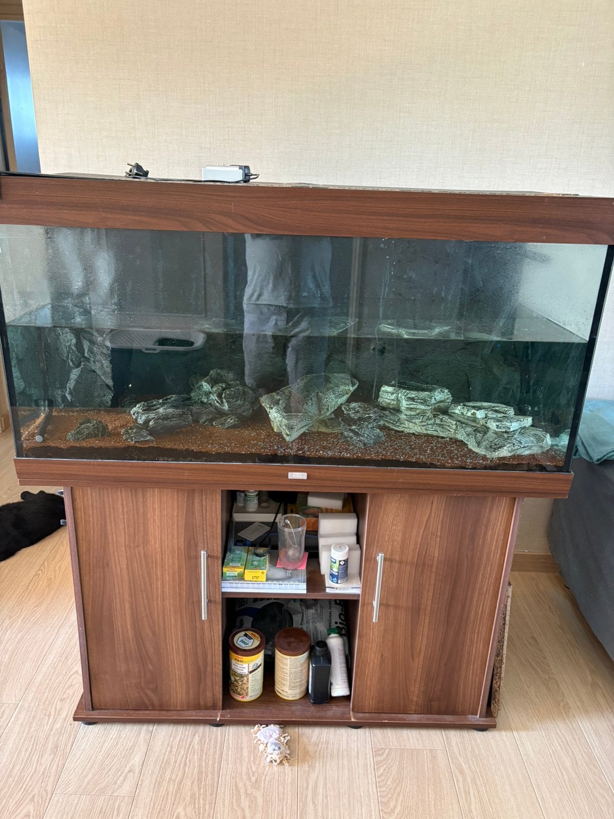 Aquarium 350l + benodigdheden te koop wegens verhuis, Animaux & Accessoires, Poissons inclus, Meuble d'aquarium, Enlèvement, Utilisé