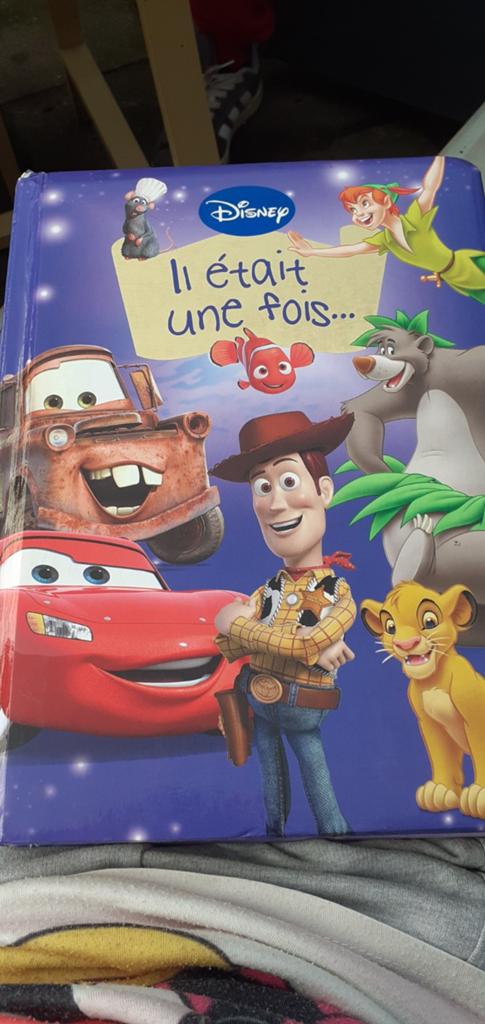 Gros livres enfant, Boeken, Kinderboeken | Baby's en Peuters, Ophalen, Zo goed als nieuw