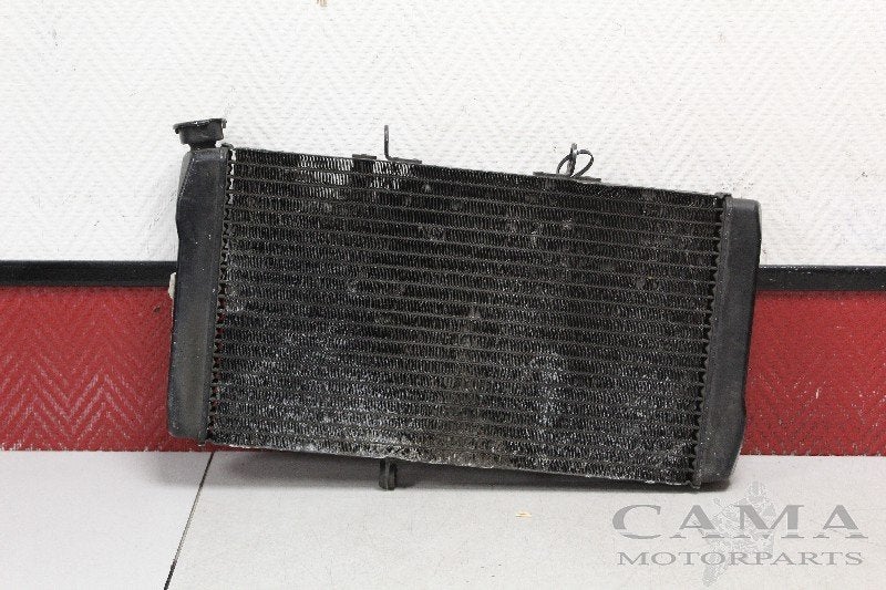 RADIATEUR Honda CBR 1100 XX Blackbird 1996-1998 (CBR1100XX), Motoren, Dhr. S. di Majo, Gebruikt, Info@cama-motorparts.nl, P.J. Troelstraweg 8 8
3144 CX  MAASSLUIS, NL