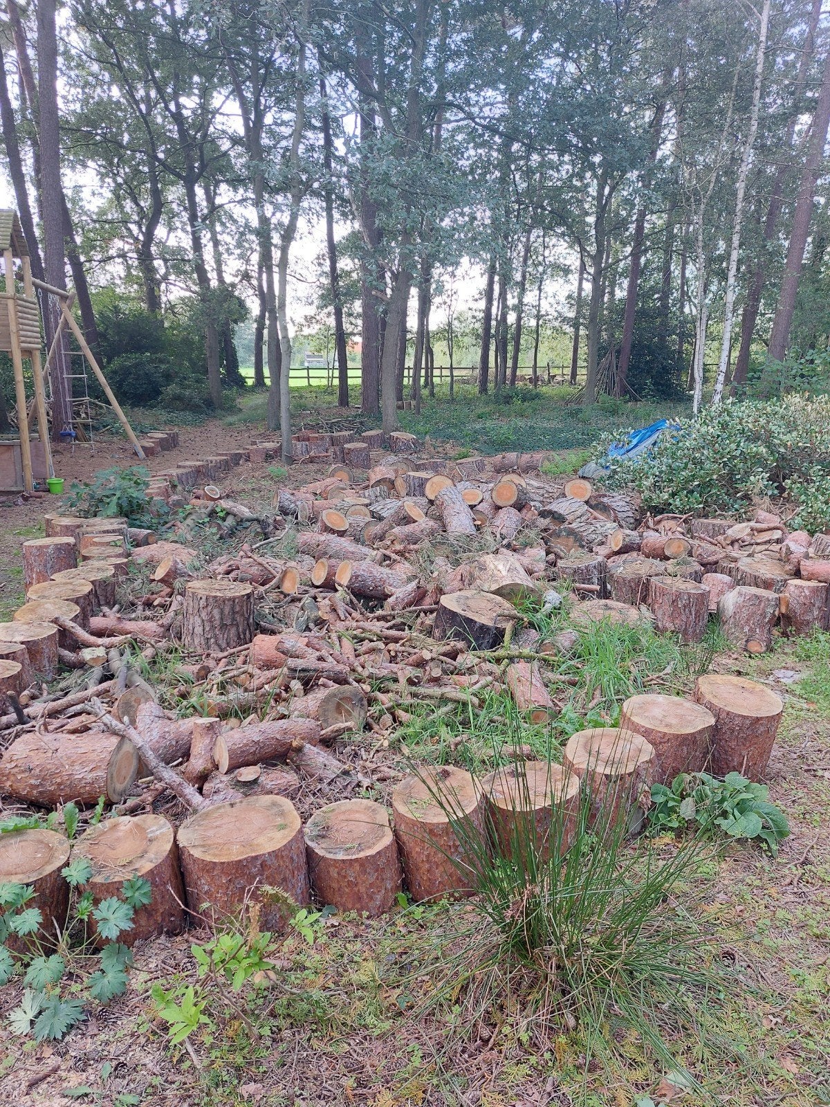 Brandhout gratis grove den, Tuin en Terras, Ophalen