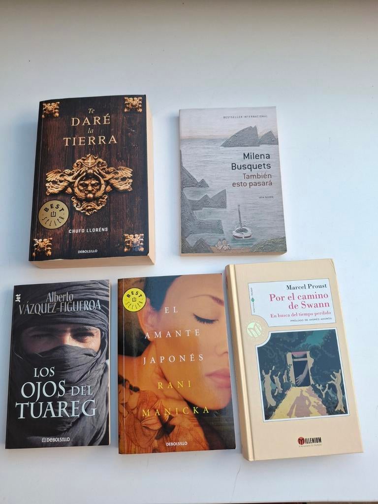 Spaanse boeken, Boeken, Ophalen of Verzenden