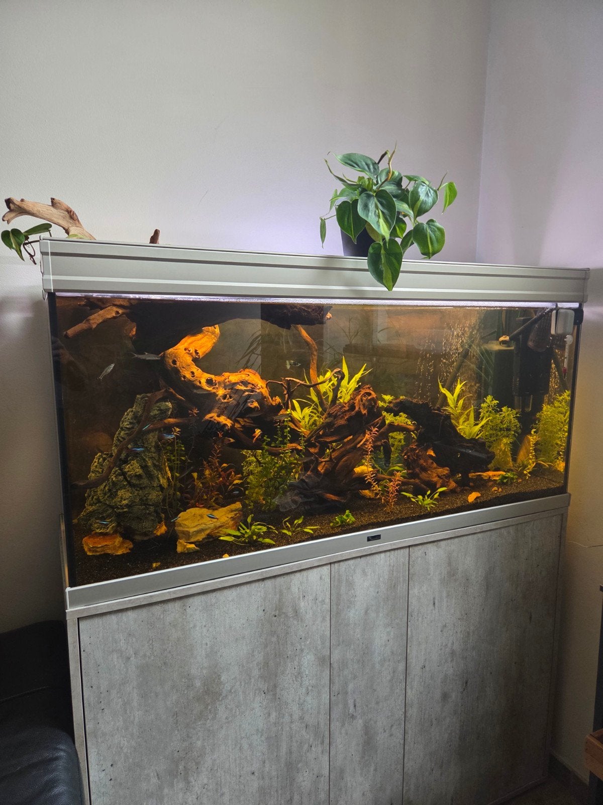 aquarium 250l, Animaux & Accessoires, Poissons | Aquariums & Accessoires, Comme neuf, Aquarium d'eau douce rempli, Couvercle inclus