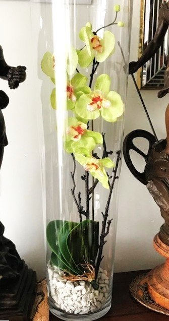 ORCHIDÉE DANS UN GRAND VASE EN VERRE 60 cm 😍💑🎁🤗👌, Neuf, Intérieur, 60 cm, Arrangement floral