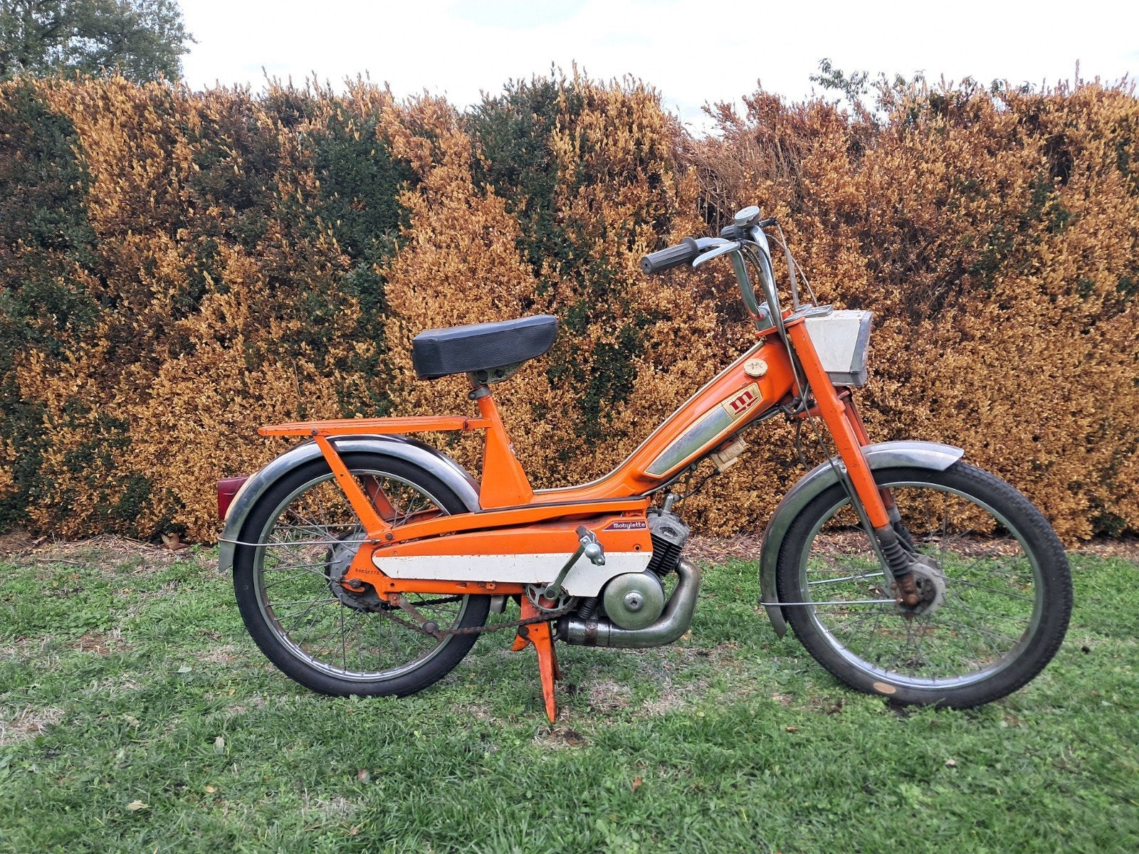Mobylette, Vélos & Vélomoteurs, Enlèvement
