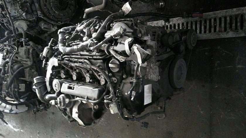 Moteur T7DB Complet FOCUS FORD