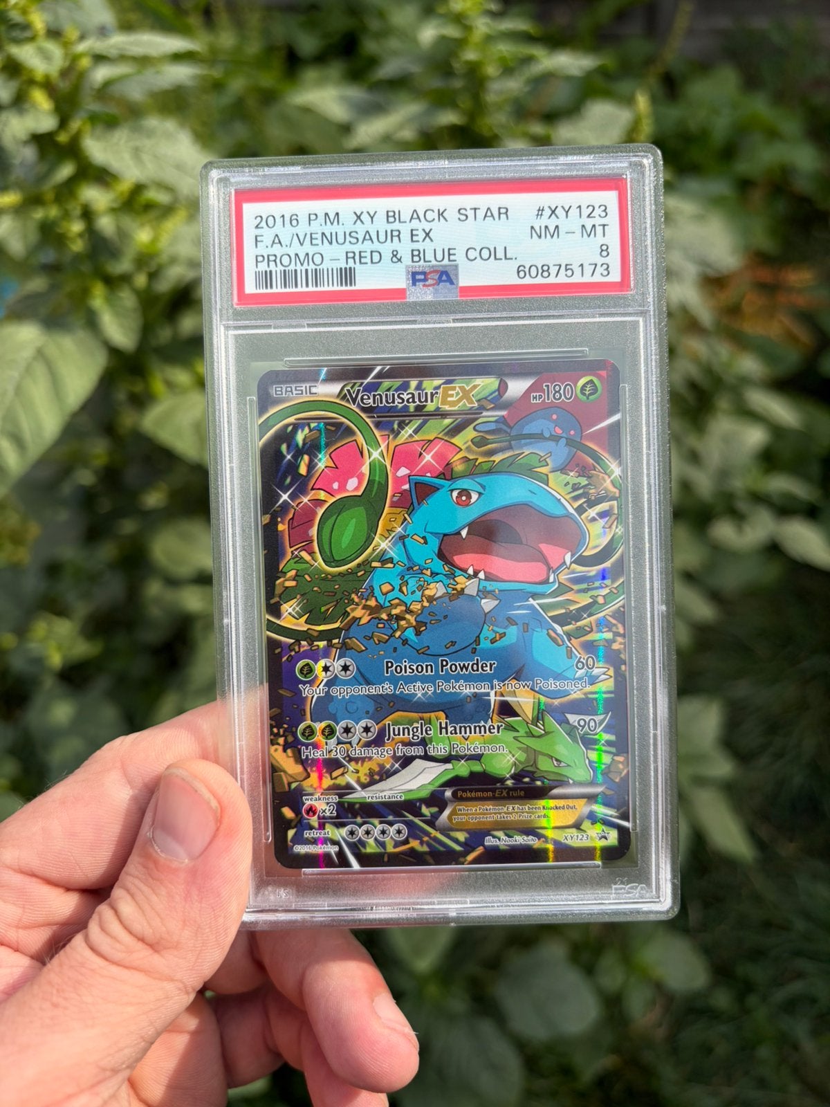 Venusaur EX XY123 – Red & Blue Collection, PSA 8 (NM-MT), Hobby en Vrije tijd, Verzamelkaartspellen | Pokémon, Ophalen, Zo goed als nieuw