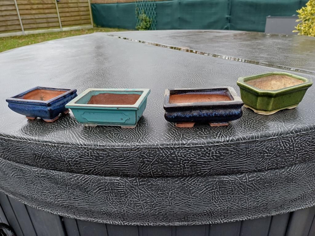 Bonzaipotjes, Tuin en Terras, Bloembakken en Plantenbakken, Ophalen