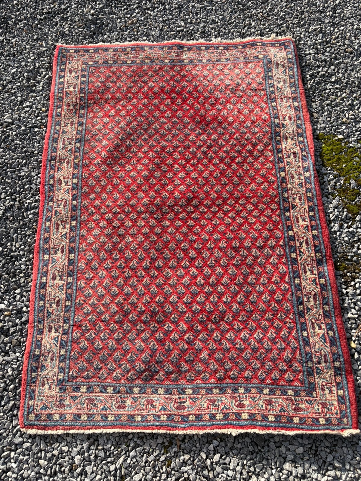 Tapis 100 x 150, Enlèvement