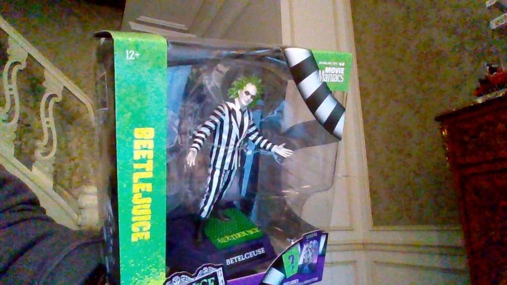 Beetlejuice beetlejuice beetlejuice!!!!, Enlèvement