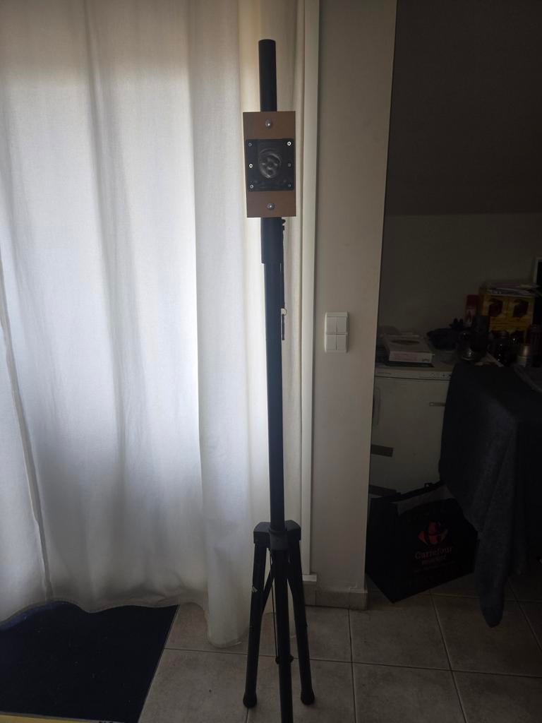 Darts staander, Enlèvement
