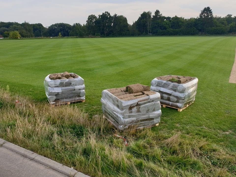 Pose de gazon en rouleau – Pelouse instantanée, Jardin & Terrasse, Enlèvement, Neuf, 20 m² ou plus, Herbe