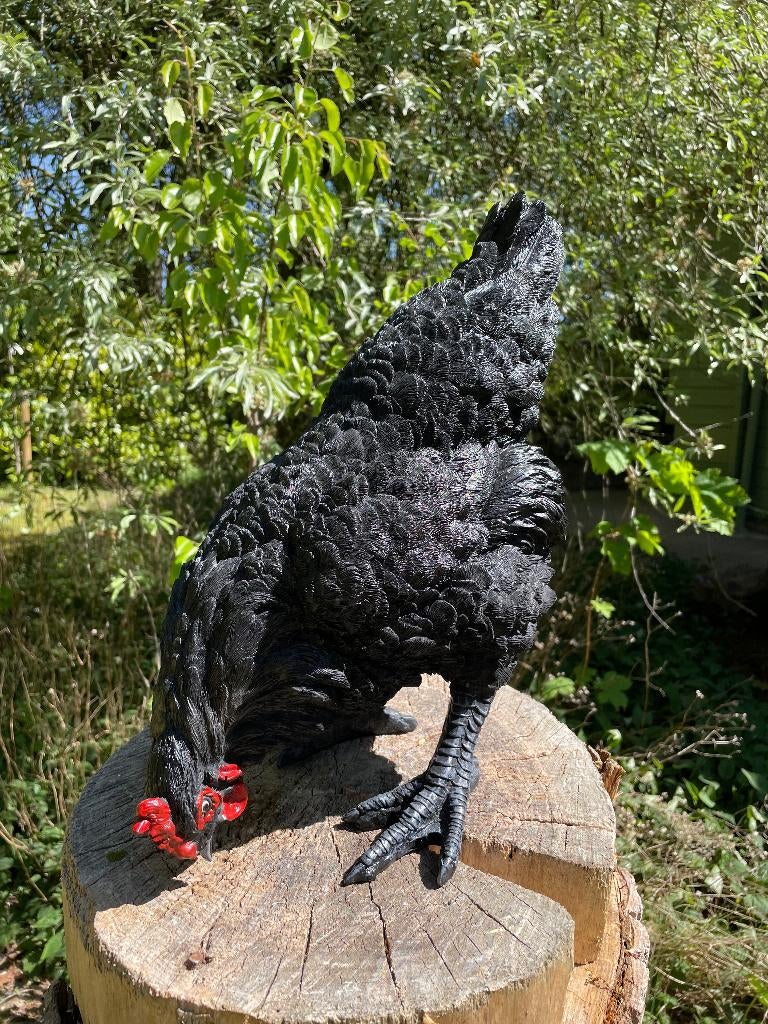 Beeld kip zwart, tuin, vijver, gazon, boerderij 35cm, Ophalen, Nieuw, Kunststof, Dierenbeeld