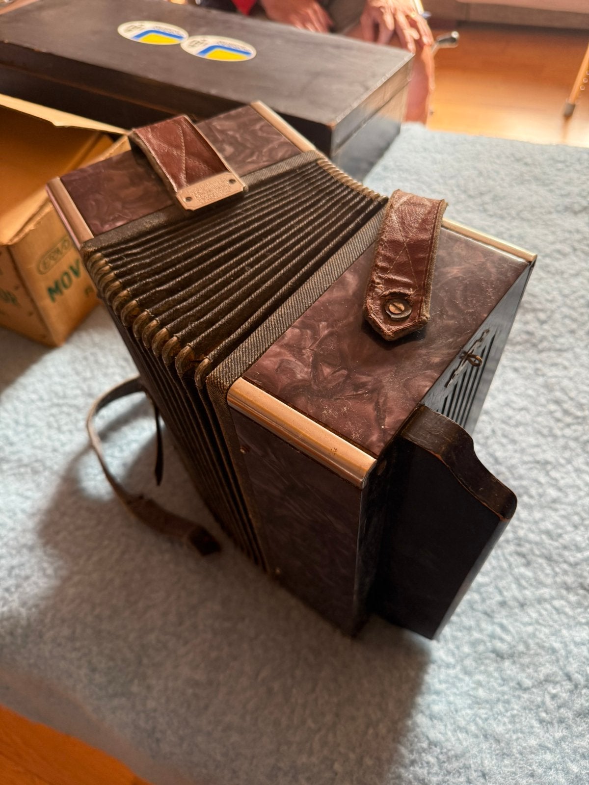 Accordeon, Audio, Tv en Foto, Ophalen, Zo goed als nieuw