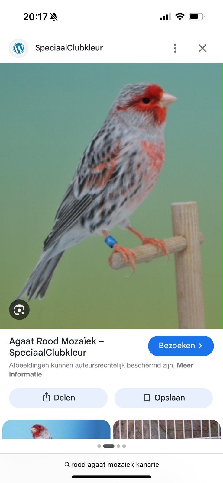 Rood agaat mozaik