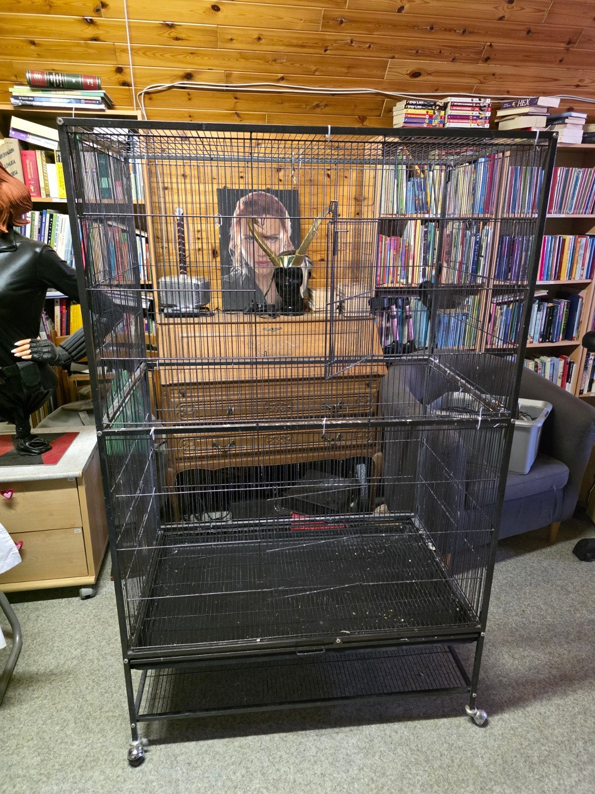 Ruim vogelkot, Enlèvement, Utilisé, Cage à oiseaux