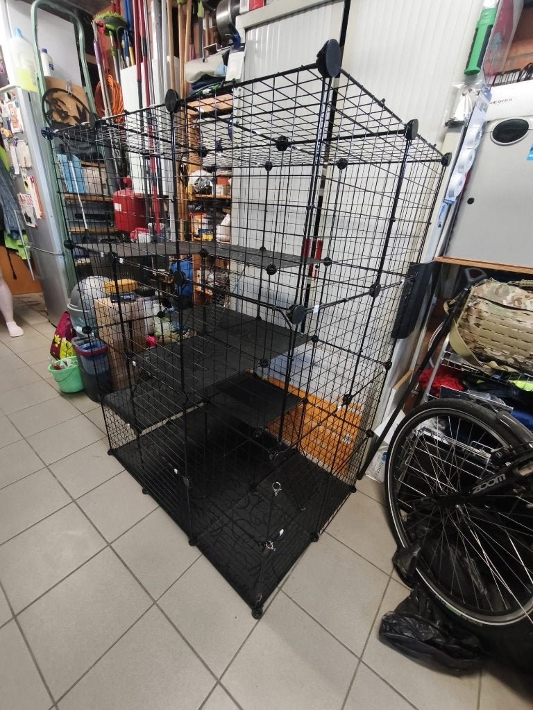 Kattenren, Dieren en Toebehoren, Katten-accessoires, Ophalen, Gebruikt