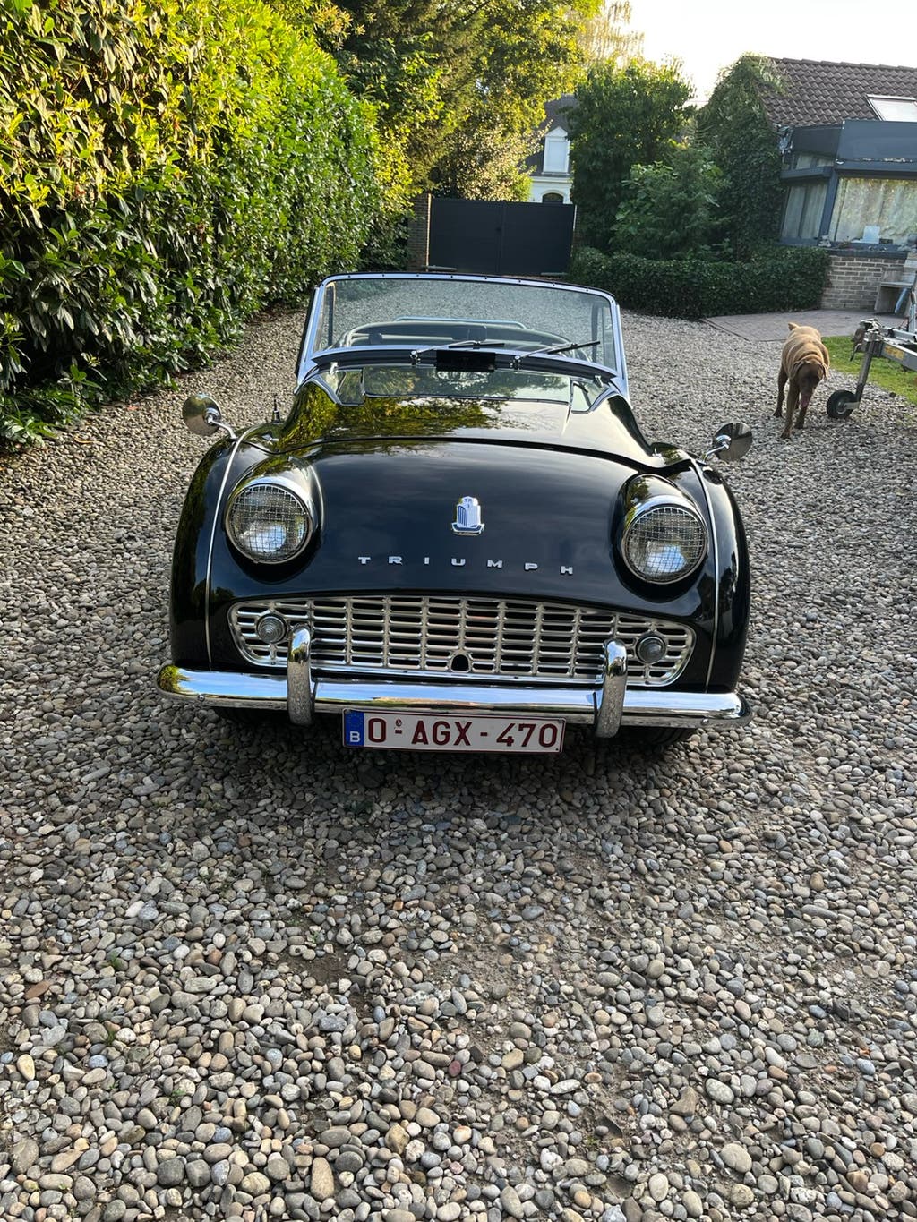 tr3 1960 gereviseeerd, foto 2
