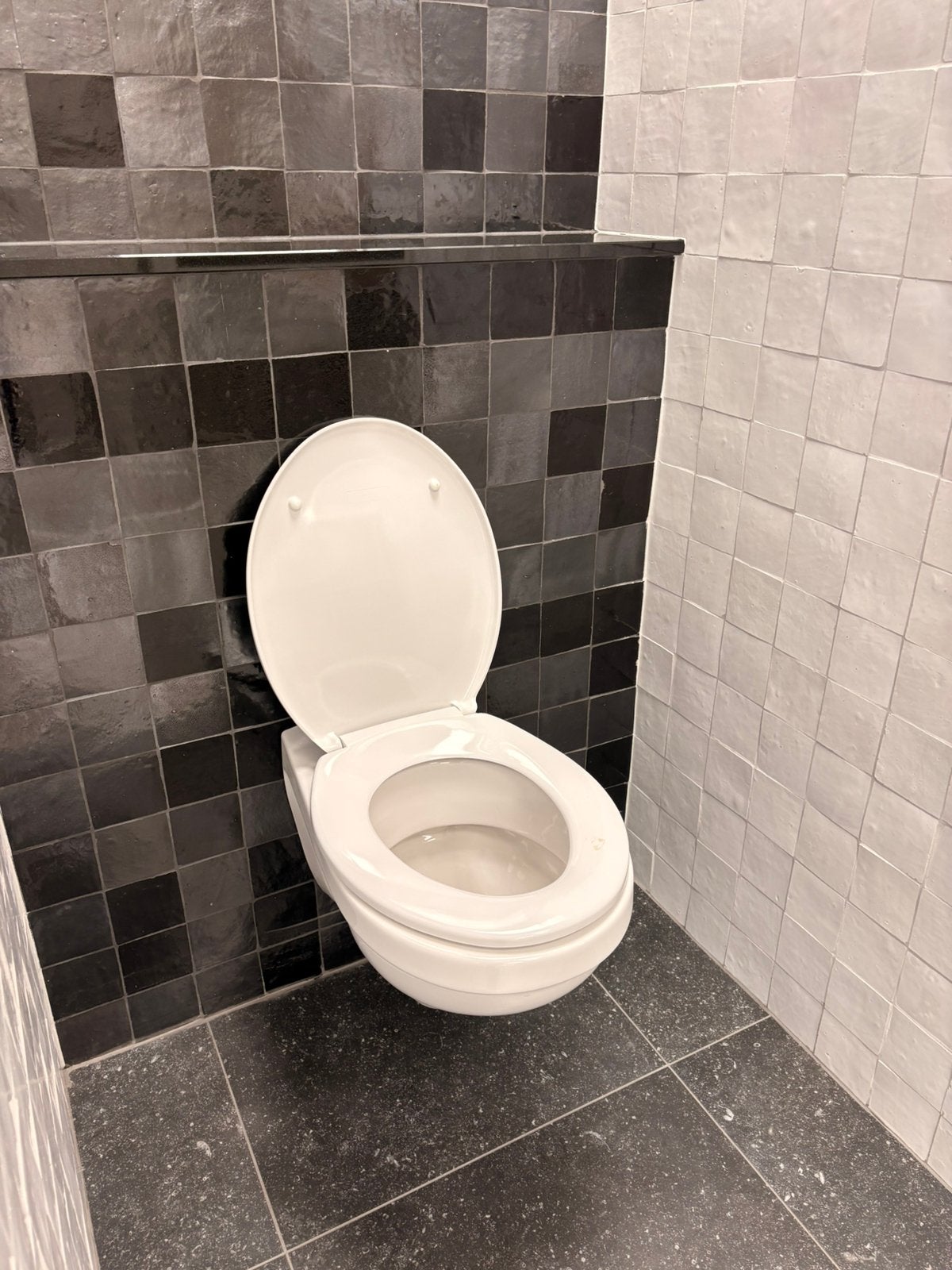 Toilet Toonzaalmodel, Ophalen of Verzenden, Nieuw