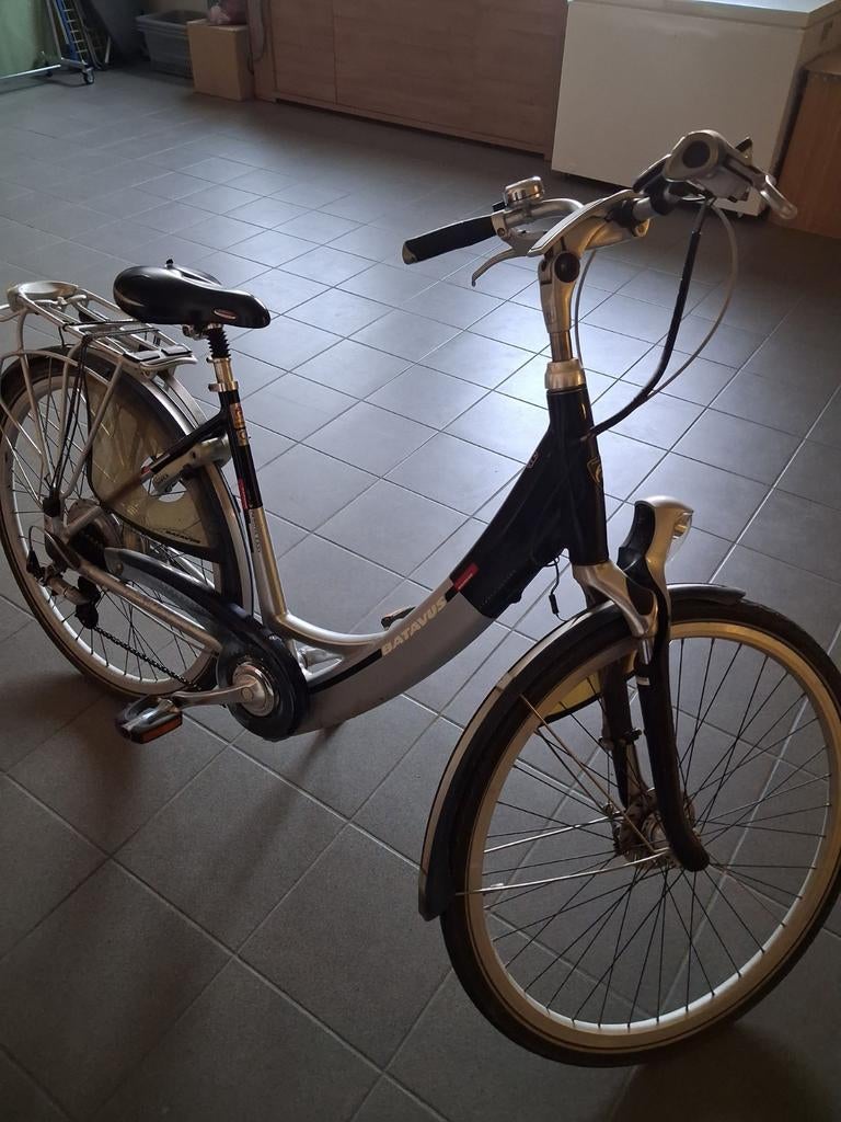Batavus, Enlèvement, Batavus