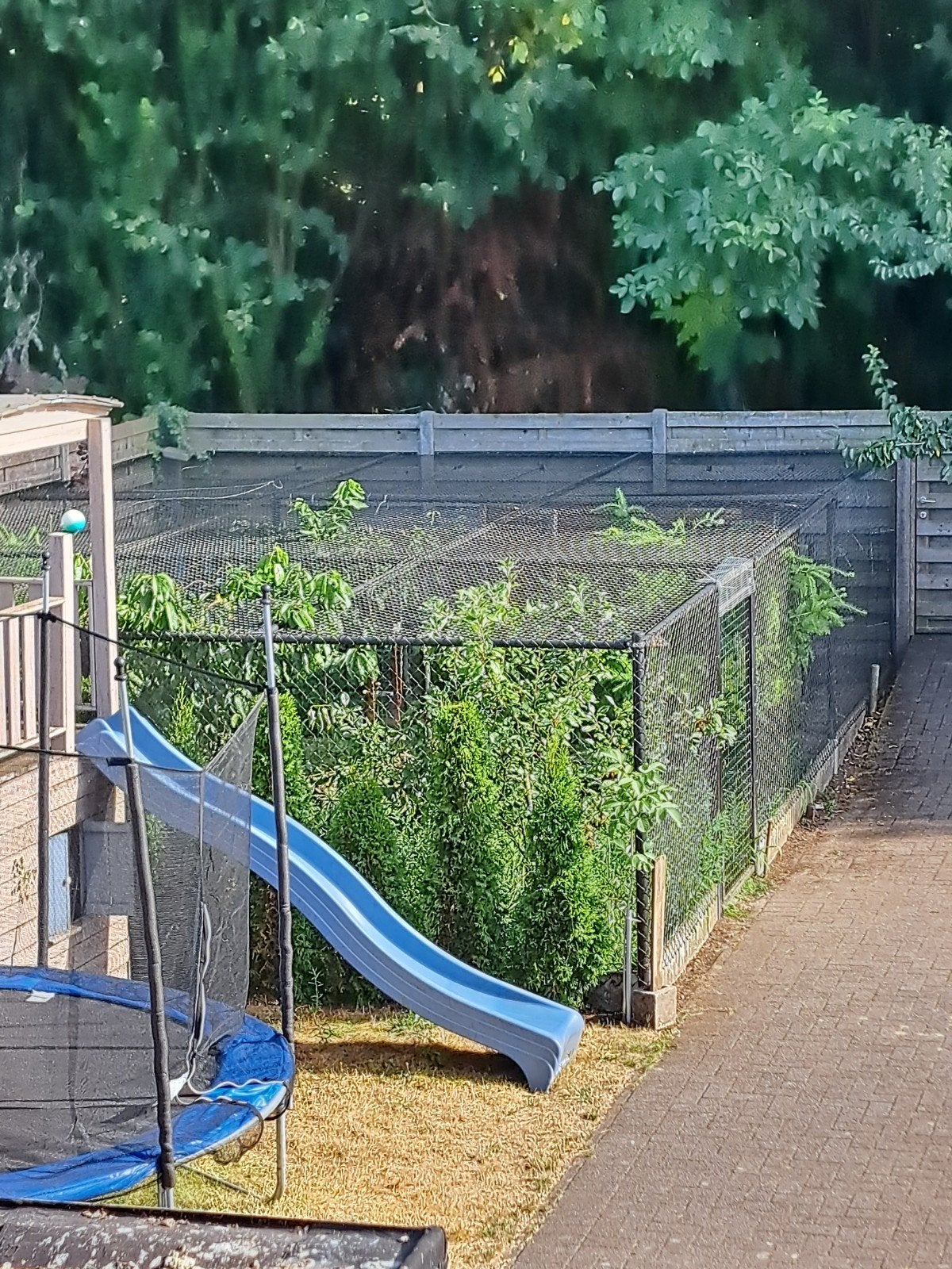 tuindraad met poortje, tuinafsluiting, Tuin en Terras, Ophalen, Draad