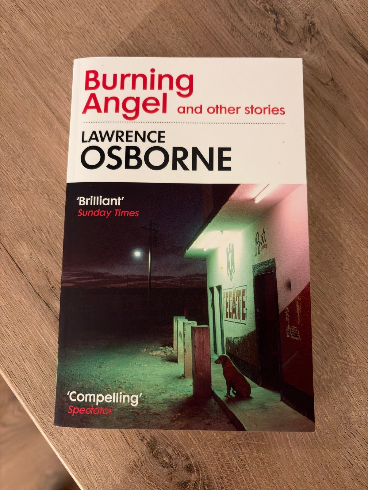 BOEK: BURNING ANGEL, Ophalen, Zo goed als nieuw