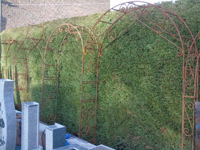 arche , arcade fer forgé barre pleine 1m65cm, Jardin & Terrasse, Enlèvement, Neuf