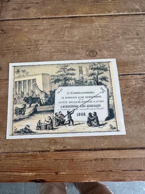 carte postale le soir carte 25 Zoo d'Anvers, Collections, Enlèvement ou Envoi, Non affranchie, Anvers