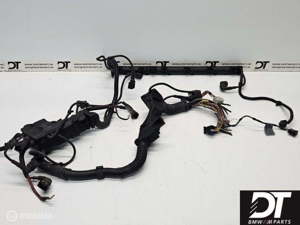 Kabelboom motor BMW E46 M3 S54 S54B32 MSS54 12517831646, Utilisé, BMW, BMW