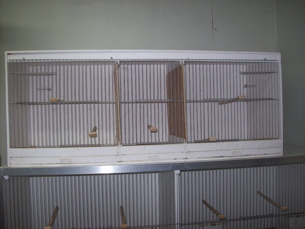 kweekbak, Enlèvement, Comme neuf, Bois, Cage d'élevage