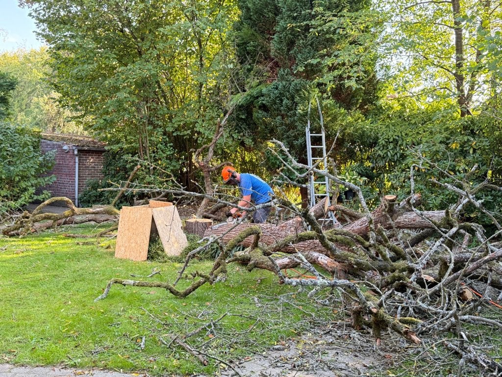 Vellen boom in ruil voor hout, Tuin en Terras, Ophalen of Verzenden