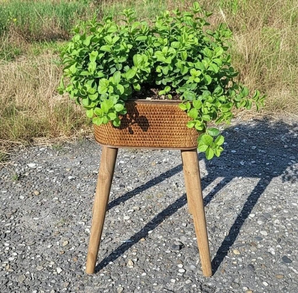 Nieuw! hippe en stijlvolle plantenbak met rotan op poten., Ophalen, Binnen, Minder dan 60 cm, Nieuw