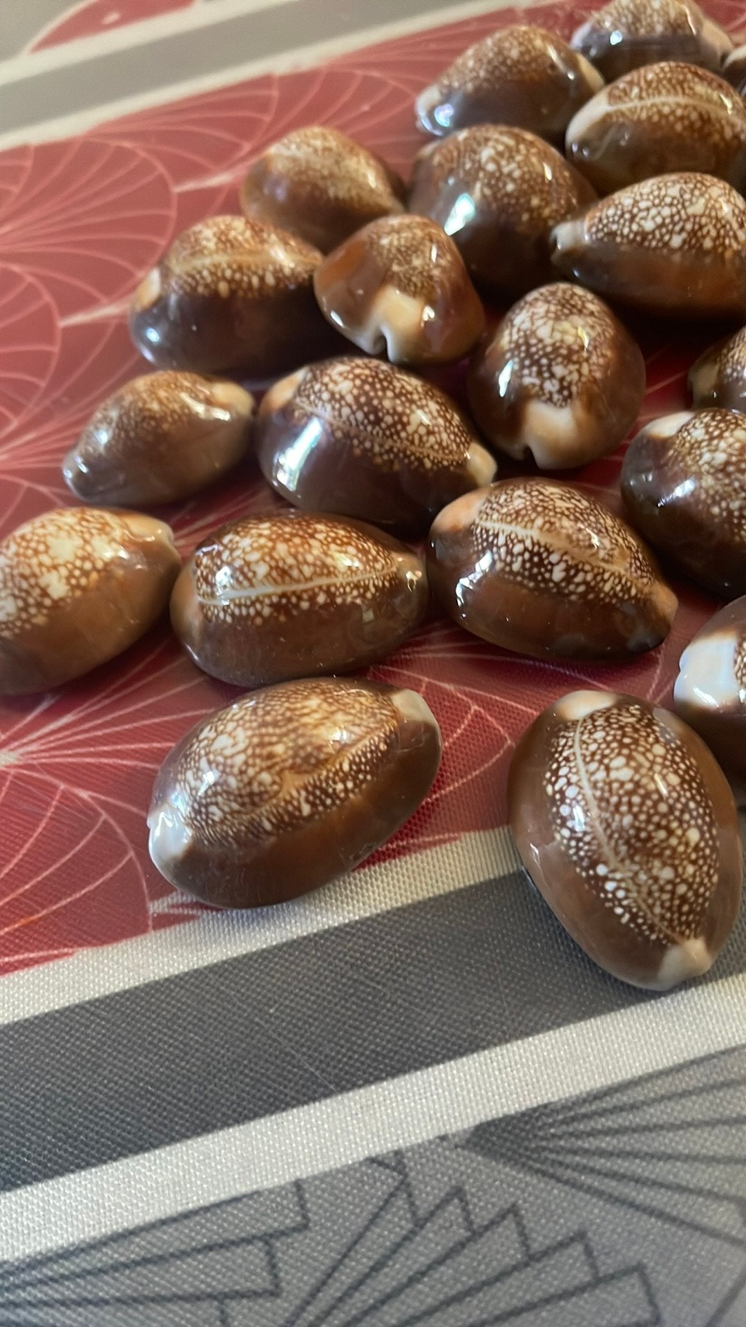 Coquillages, Ophalen of Verzenden, Schelp(en)