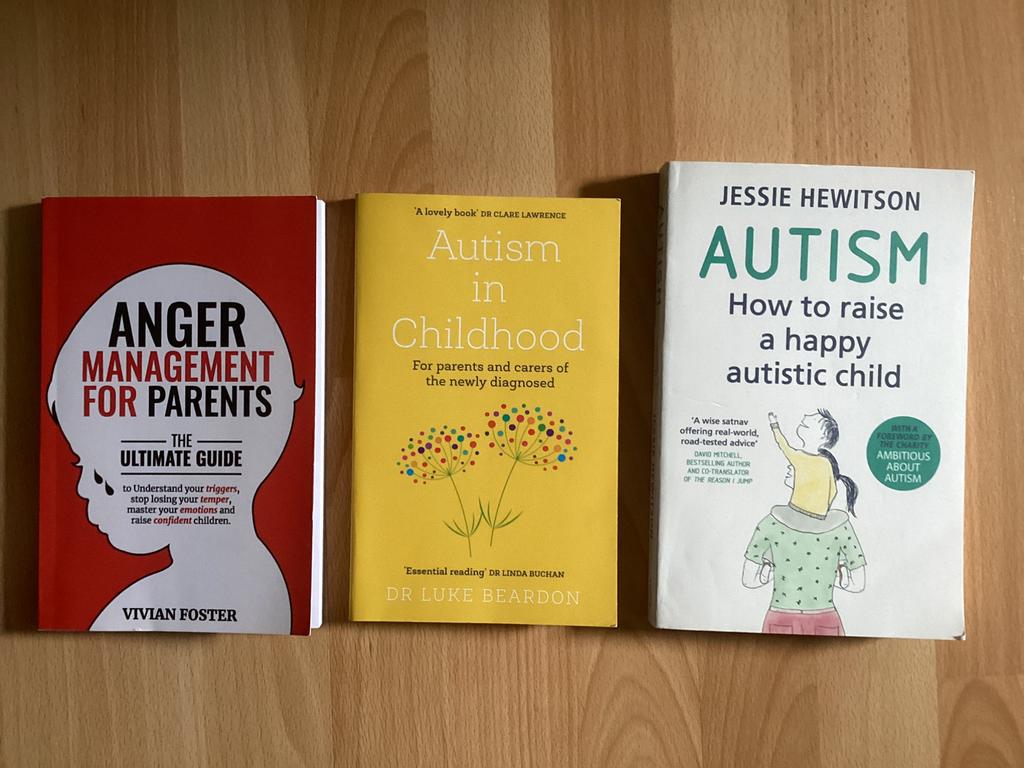 Boeken autisme (Engels), Livres, Conseil, Aide & Formation, Enlèvement ou Envoi