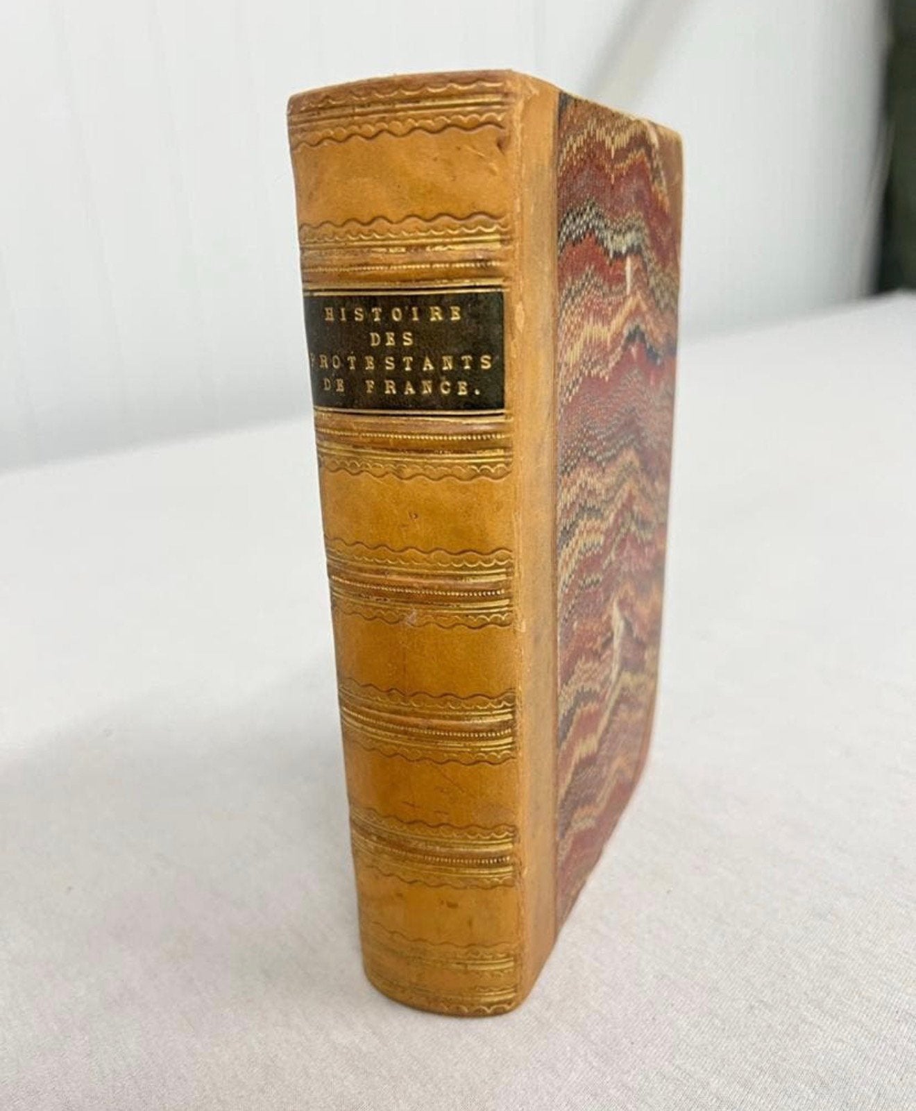 G. de Félice HISTOIRE DES PROTESTANTS DE FRANCE - 1850 oud, Ophalen of Verzenden