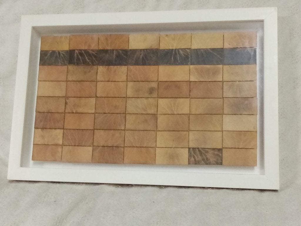 Œuvre « feuilles d’arbre », artiste inconnu, sous cadre, Ophalen