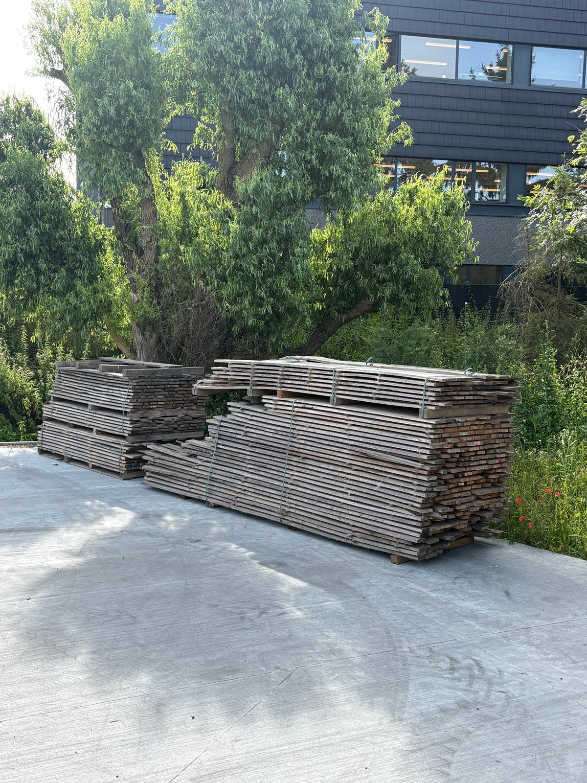 Bois de chauffage (chêne), Jardin & Terrasse, Bois dur, Enlèvement, Utilisé, 250 cm ou plus