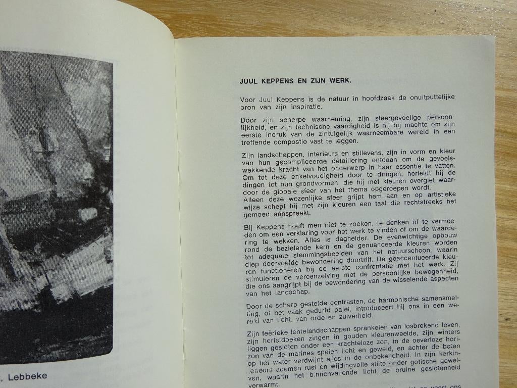 Juul Keppens 60, monografische brochure 1970, Boeken, Ophalen of Verzenden, Gelezen, Schilder- en Tekenkunst