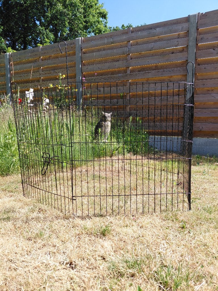 Ren voor cavia, Dieren en Toebehoren, Ophalen, Minder dan 75 cm, Zo goed als nieuw, 90 cm of meer