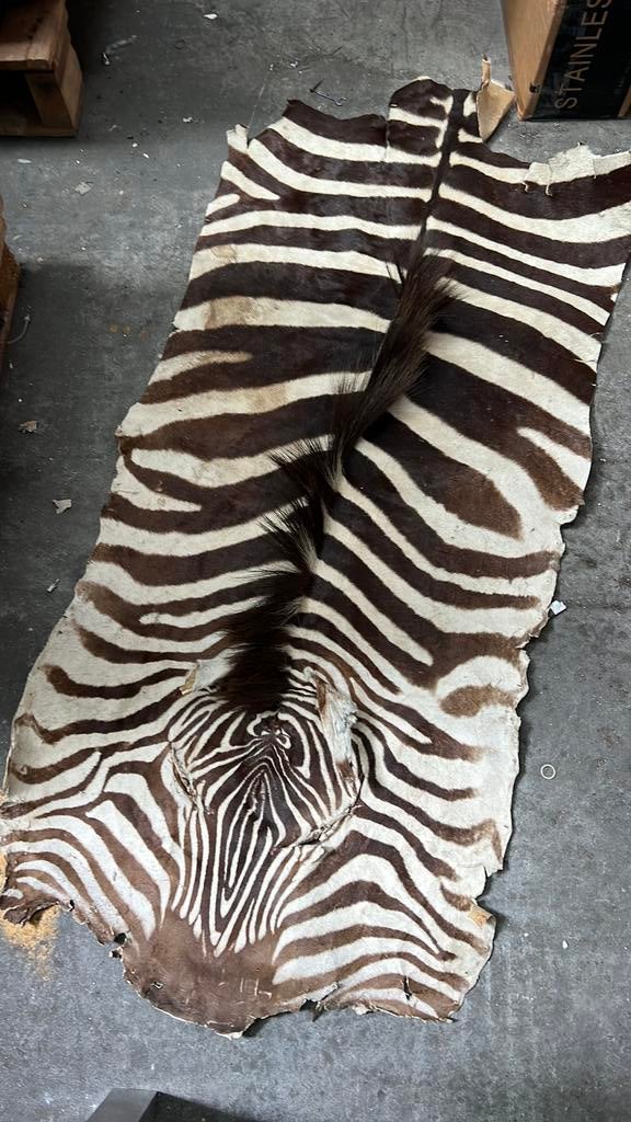 Zebrahuid, Maison & Meubles, Accessoires pour la Maison | Plaids & Couvertures, Enlèvement, Comme neuf