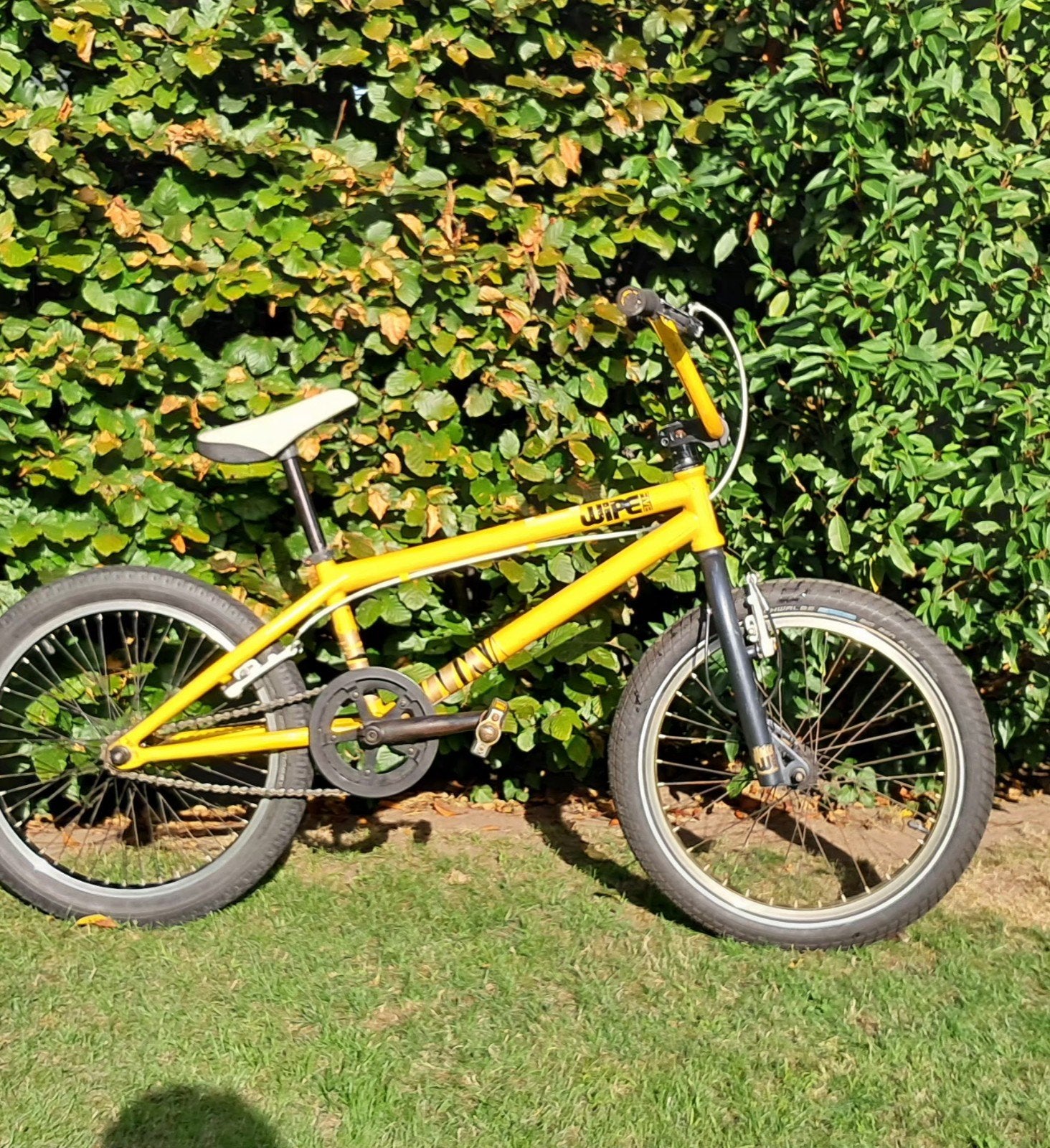 BMX goud 20 inch wielen, Fietsen en Brommers, Ophalen, Velgrem, Stuur 360° draaibaar, Aluminium