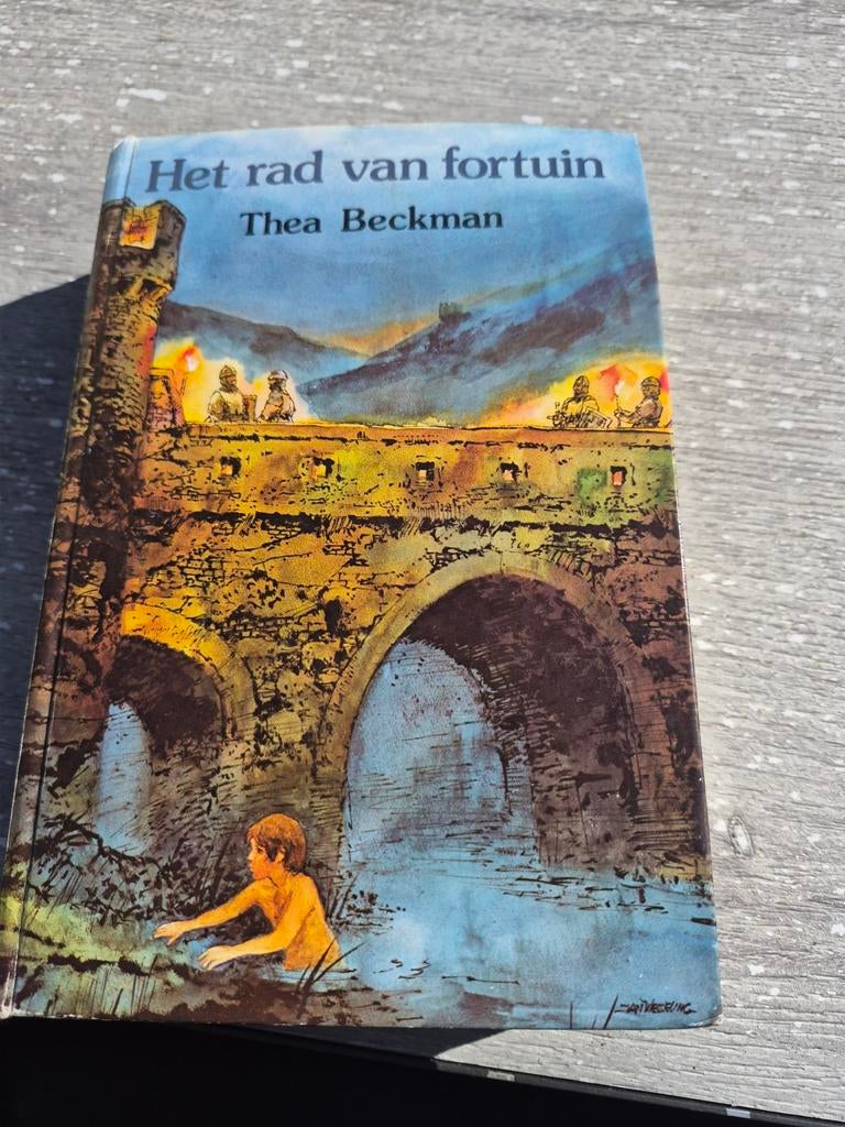 Het rad van fortuin, Ophalen of Verzenden