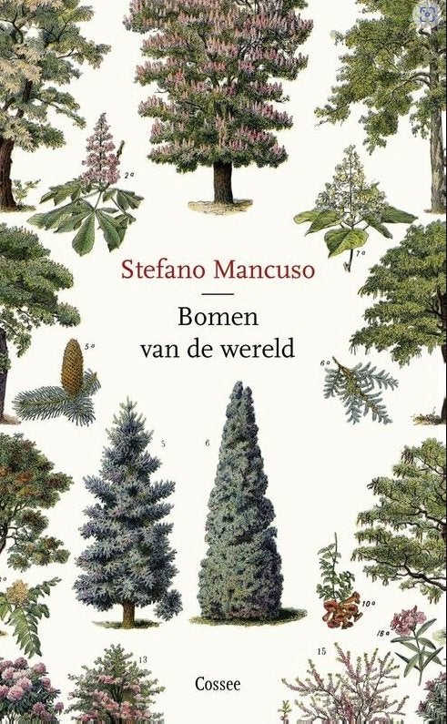 Bomen van de wereld, Stefano Mancuso, Enlèvement ou Envoi, Comme neuf