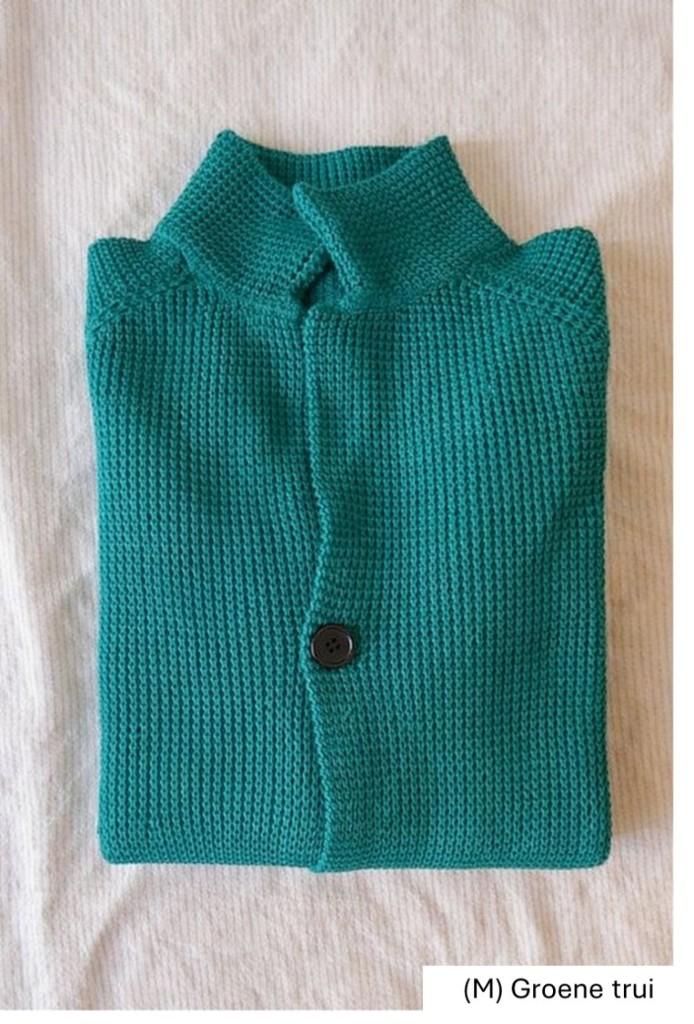 Trui groen nieuw (M), Kleding | Heren, Truien en Vesten, Verzenden, Nieuw, Maat 48/50 (M), Groen