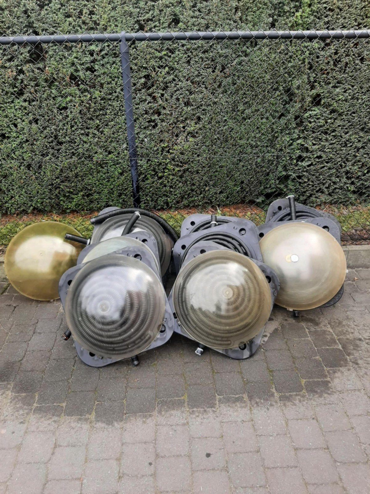 zwembadbollen, Enlèvement