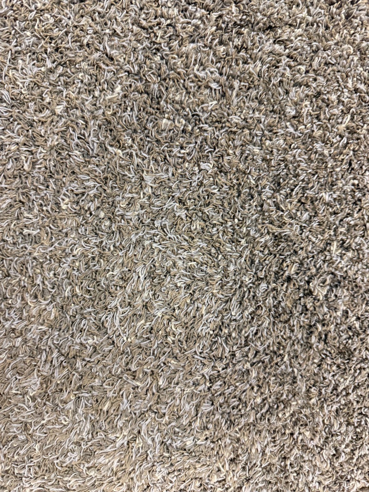 Tapijt 2,45 x 3,10m, Maison & Meubles, 200 cm ou plus, 200 cm ou plus, Enlèvement, Utilisé